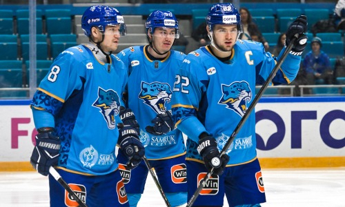 «Ситуация совершенно беспробудная и бесперспективная». «Барыс» подвергся жесткой критике