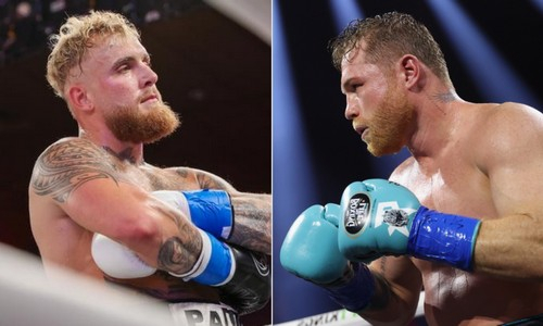 Появилась информация о бое Сауль Альварес — Джейк Пол