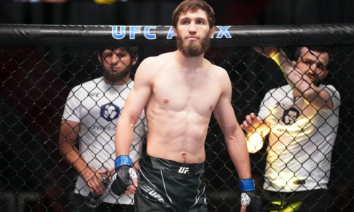 Нурмагомедов узнал следующего соперника и дату боя в UFC