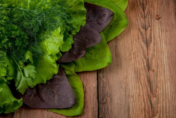 Этот вид зелени оказался провокатором тромбоза. Заставляет кровь сворачиваться прямо в венах — растет на каждой грядке