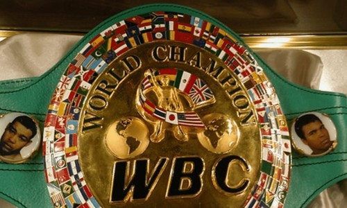 WBC принял официальное решение по бою казахстанского боксера за титул чемпиона мира