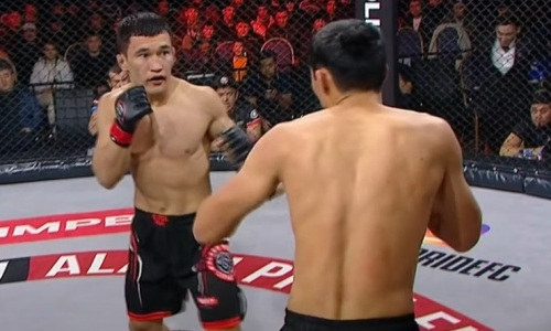 Казахстанские бойцы избили и нокаутировали узбекистанцев