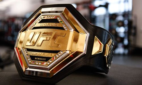 Назван лучший боец ММА в 2024 году