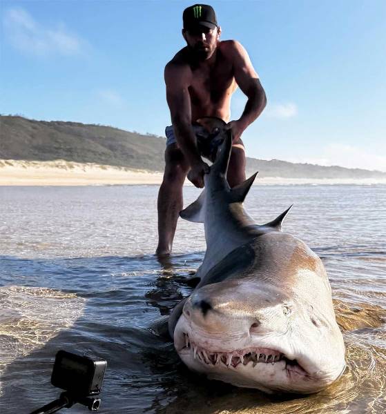 Чемпион UFC посмеялся над Хамзатом Чимаевым
