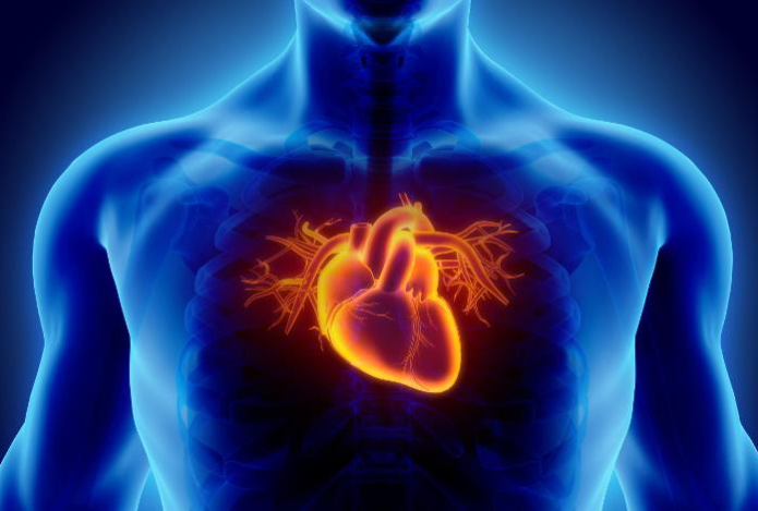 С сердцем больше не будет никаких проблем. Нужно включить в рацион этот вкусный напиток — настоящая панацея для органа