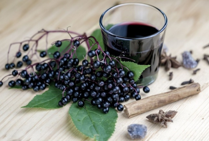 Названы шесть полезных для мозга растительных продуктов