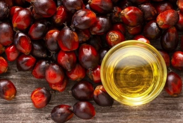 Стало известно, какое масло может навредить организму даже в очищенном виде