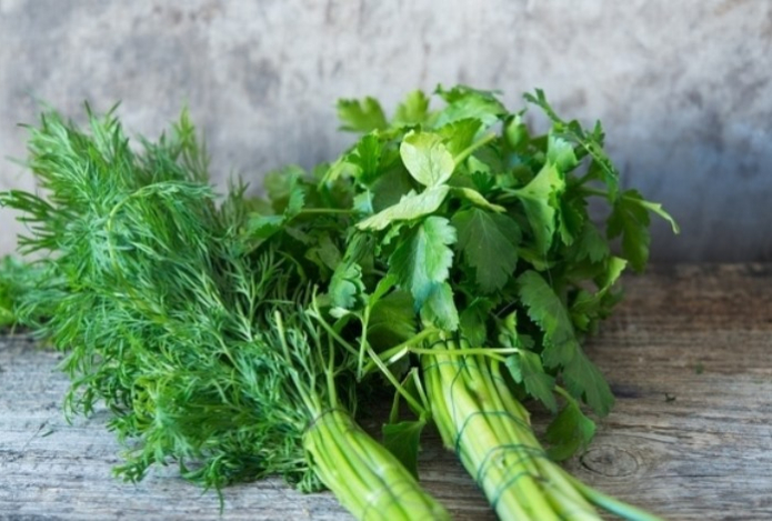 Можно ли есть вялую зелень?