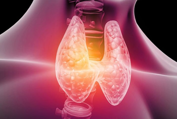 Названы топ-5 продуктов для здоровья щитовидной железы — с ними гормоны будут в норме