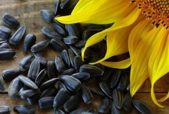 Можно ли есть семечки с кожурой