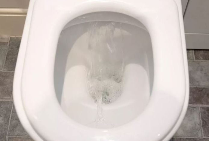 Почему нельзя оставлять сиденье унитаза поднятым