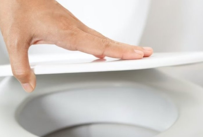 Почему надо всегда закрывать крышку унитаза