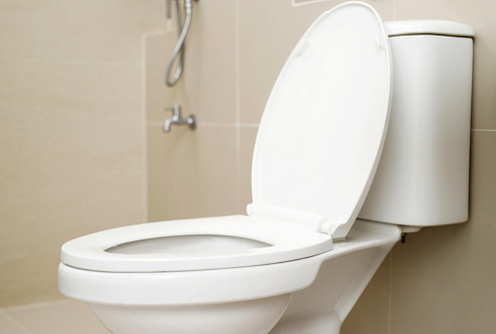 Киньте эту пряность в унитаз — он будет блестеть и благоухать. Освежители воздуха не понадобятся