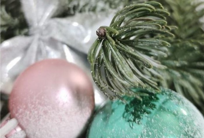 Вместо елки и сосны украсьте дом этими ветками — на Новый год все гости удивятся. Долго сохраняют свежесть