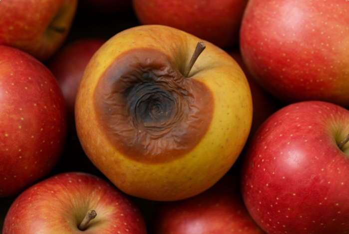 Никогда не ешьте такие яблоки — они опасны для здоровья