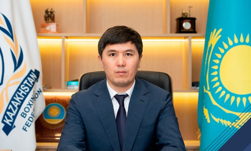 Федерация бокса Казахстана объявила о назначении чемпиона мира