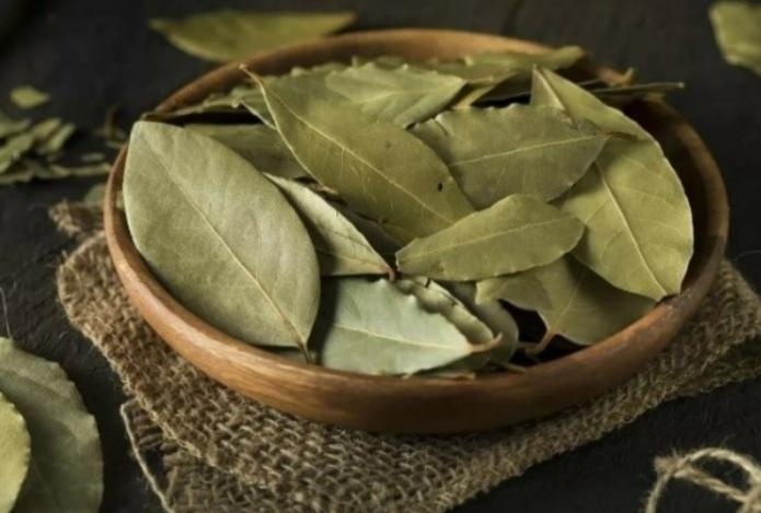 Чем опасен лавровый лист