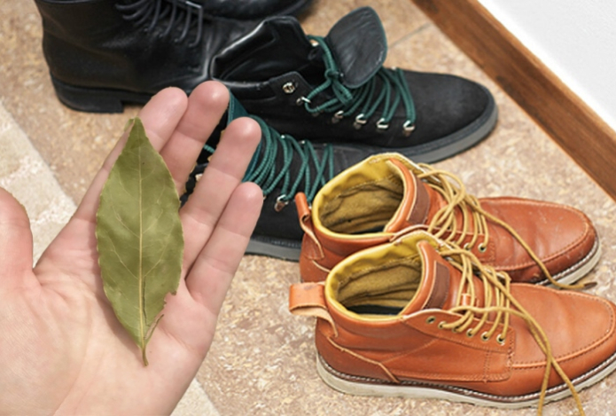 Почему нужно класть лавровый лист в обувь