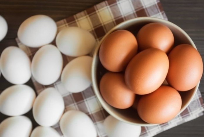 Какие яйца лучше — домашние или магазинные