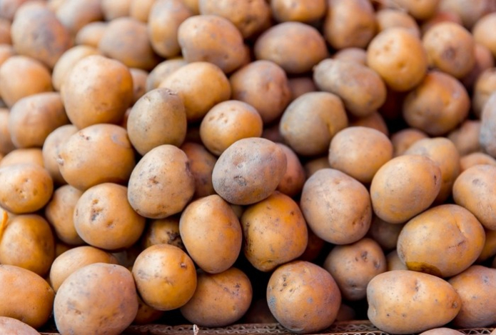 Как спасти картофель от загнивания и прорастания с помощью лаврового листа — вы могли этого не знать