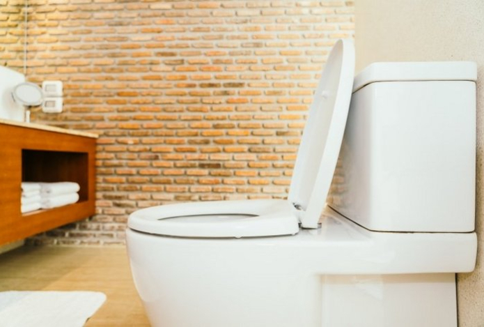 Зачем класть кирпич в унитаз — этот забытый метод станет отличным «помощником» в быту