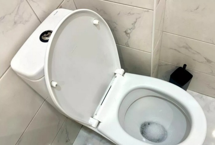 Три литра этой смеси в бачок — к утру унитаз засияет как новый. И чистка, и дезинфекция