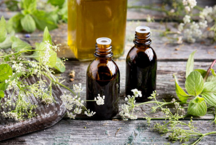 Названы три аромата, которые отпугнут тараканов. Вредители их не переносят