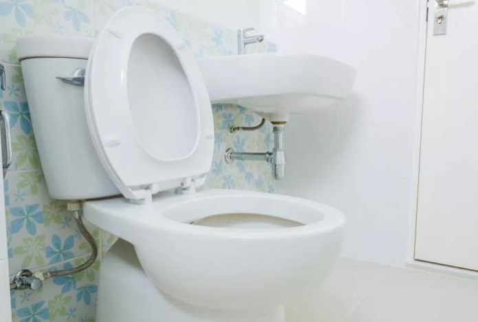 Измельчите лимон в блендере — и вопрос с мочевым камнем решён. Унитаз теперь всегда чистый