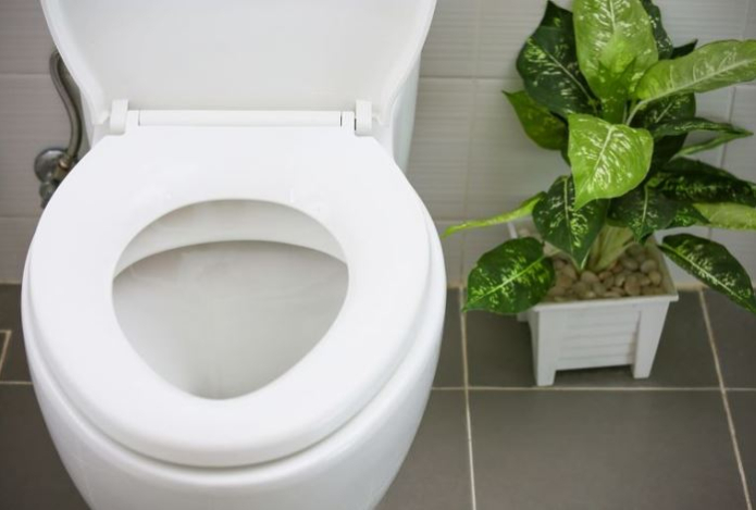 Почему нельзя долго сидеть в туалете