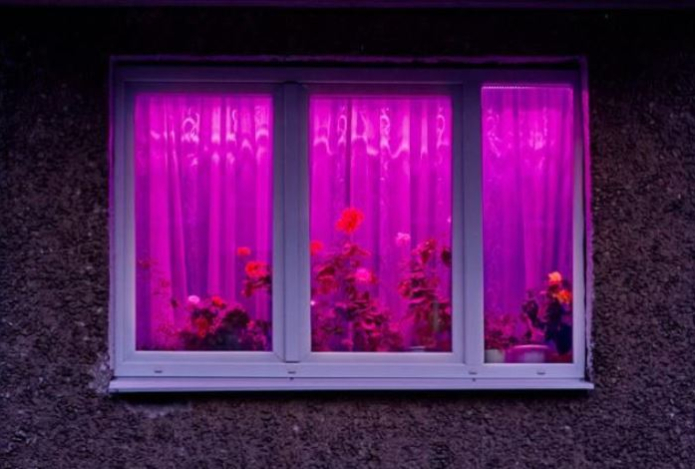 Почему в домах горит фиолетовый свет — ответ вас удивит