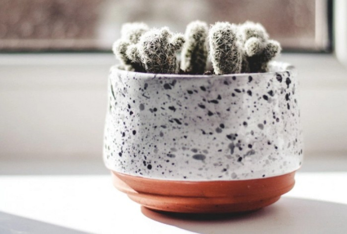 Три капли этого средства на ватный диск — и подоконник изумит чистотой. Понадобятся лишь два ингредиента