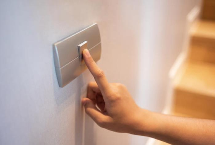 Нужно ли оставлять свет для питомцев, когда уходите из дома