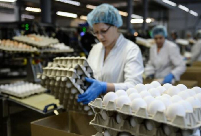 Нужно ли мыть куриные яйца перед едой