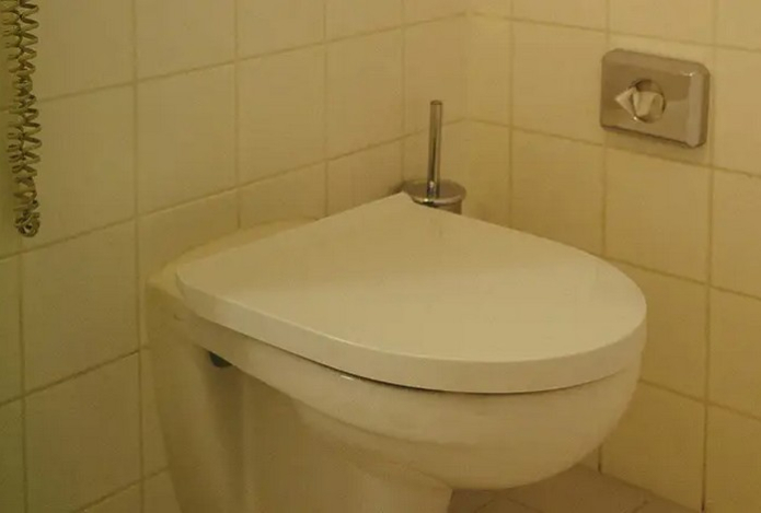 Можно ли смывать волосы в унитаз