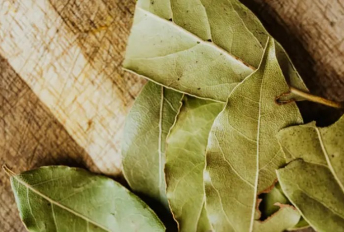 Куда положить лавровый лист, чтобы не было тараканов