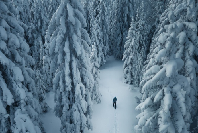Экстремалы оценят. В Японии пройдут масштабные прятки в заснеженном лесу
