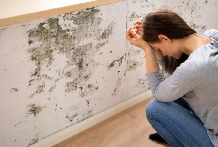 Плесени нет и обои больше не сыреют. Как нестандартно решить проблему утепления — минвата и пенопласт не пригодятся