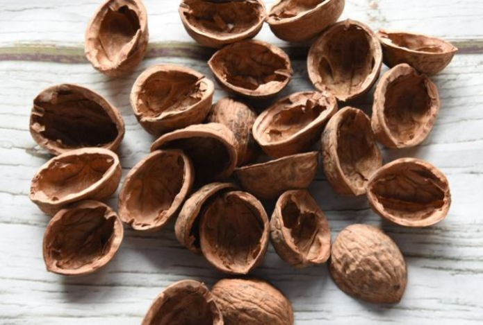 Почему не стоит выбрасывать скорлупу грецкого ореха — как применить отходы дома и на даче