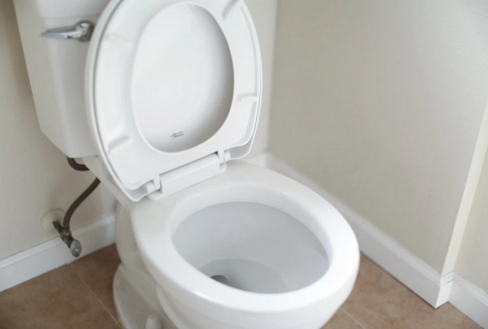 Раскрыт способ сделать унитаз кристально чистым — понадобится всего два обычных компонента