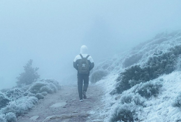 Сколько времени нужно гулять вечером, чтобы сжечь жир на животе