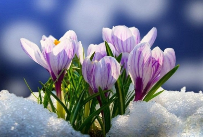 Какой весны ждать казахстанцам в этом году