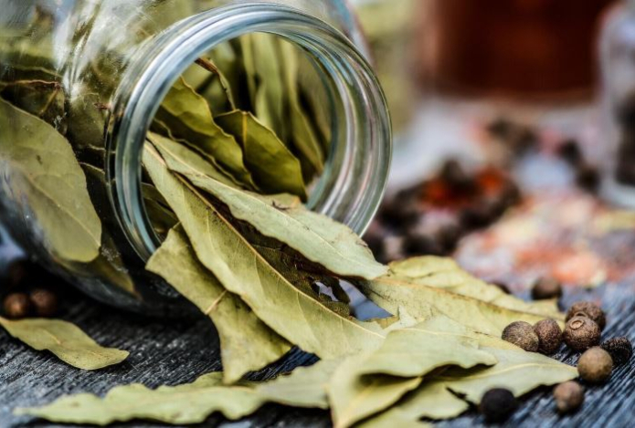 Для чего нужно класть лавровый лист в карман — удивительное применение, которое стоит знать