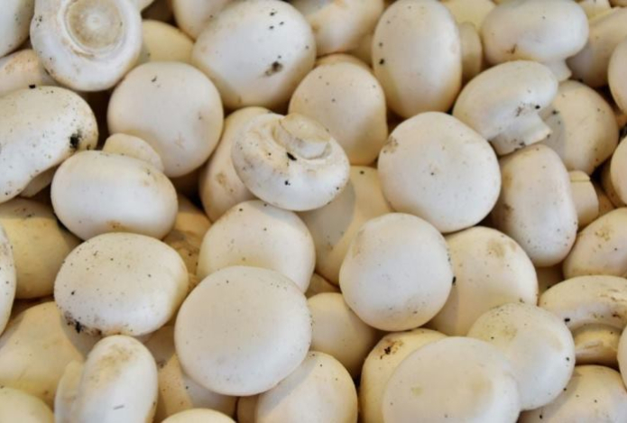 Нужно ли снимать шкурку с шампиньонов