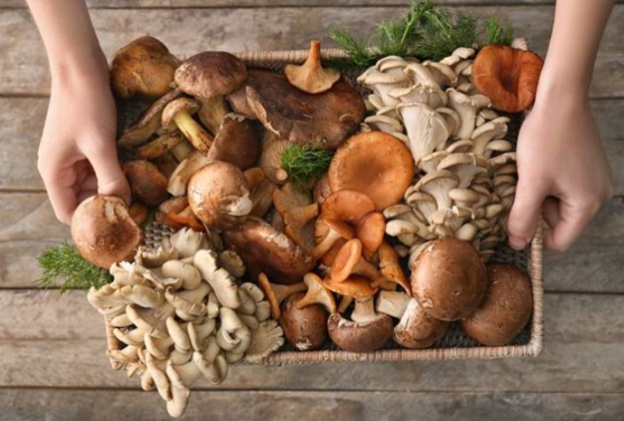 Нужно ли мыть грибы перед жаркой и засолкой