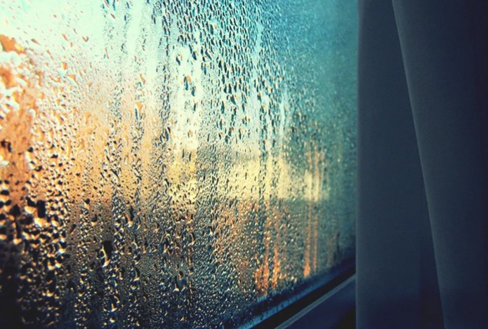 Как избавиться от конденсата на окнах — раскрыта забытая хитрость. О плесени можно будет забыть