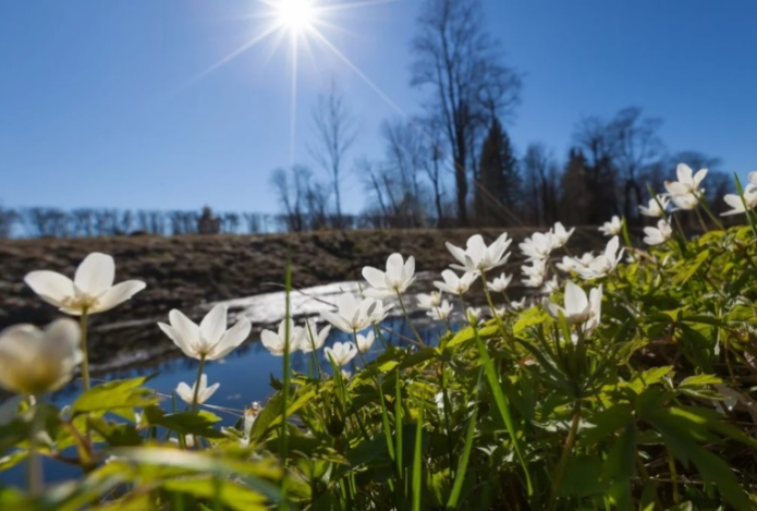 Чем казахстанцев порадует весна 2025