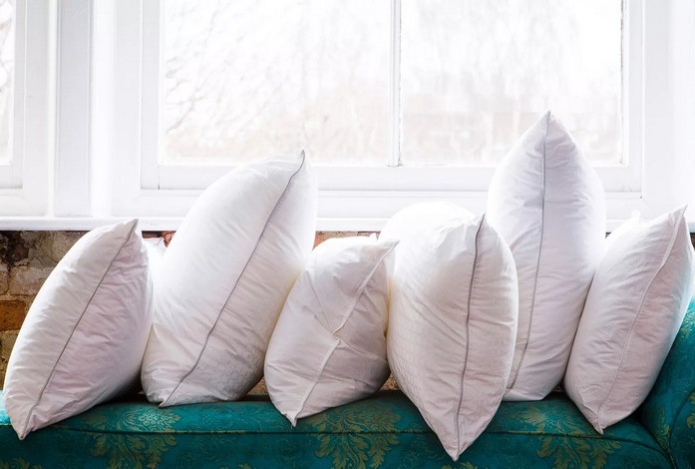 Берем старые подушки на участок — и урожайность увеличивается в разы. Опытные садоводы поделились лайфхаком