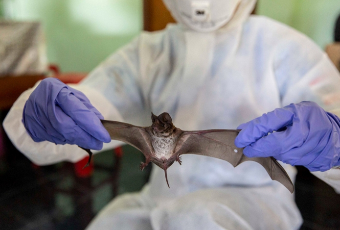 Новый коронавирус. Минздрав Казахстана выступил с заявлением