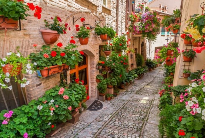 Готовим карманы для денег. Эти растения принесут в дом достаток — больше никаких долгов