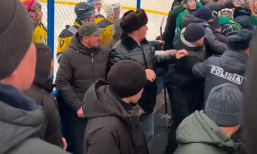 «Дичь из Казахстана!» В России отреагировали на драку хоккеистов с болельщиками